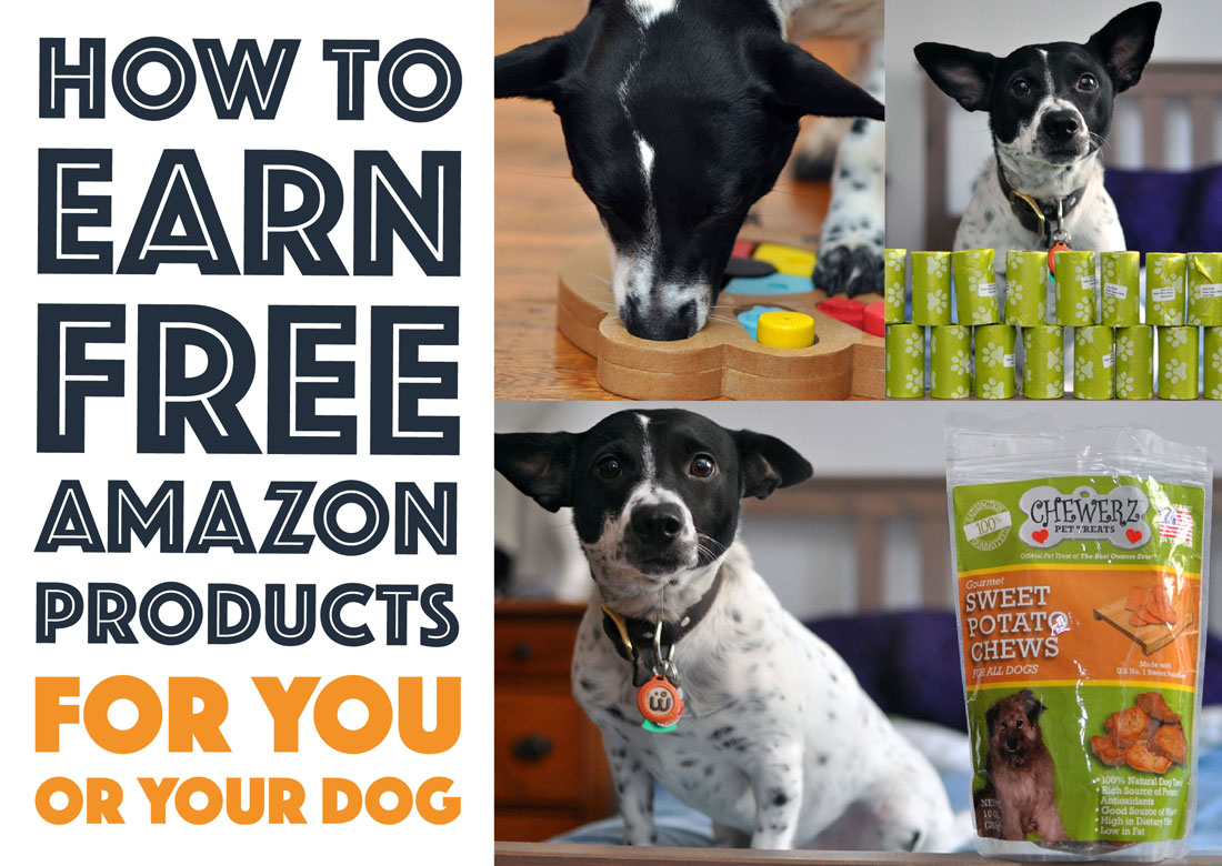 How to Earn Free Amazon Products For You or Your Dog