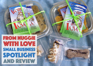 From Nuggie with Love LLC specializes in the formulation holistic, artisanal dog treats and premium all-natural pet care products. Henry and I interview the founder, Alley, and give some of their treats a test run!
