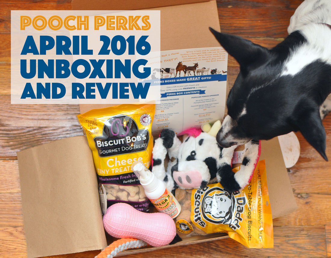 The Pooch Perks April 2016 Barnyard Party box was cute, true to its theme, and a great money-saver. Check out what we received and use code BROKEDOGBLOG to save 10% off your own subscription!