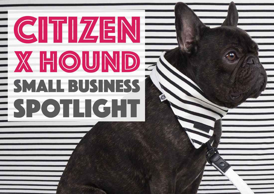 Introducing Citizen x Hound, a new New York City-based brand for the modern dog that features collections based on New York neighborhoods and towns.