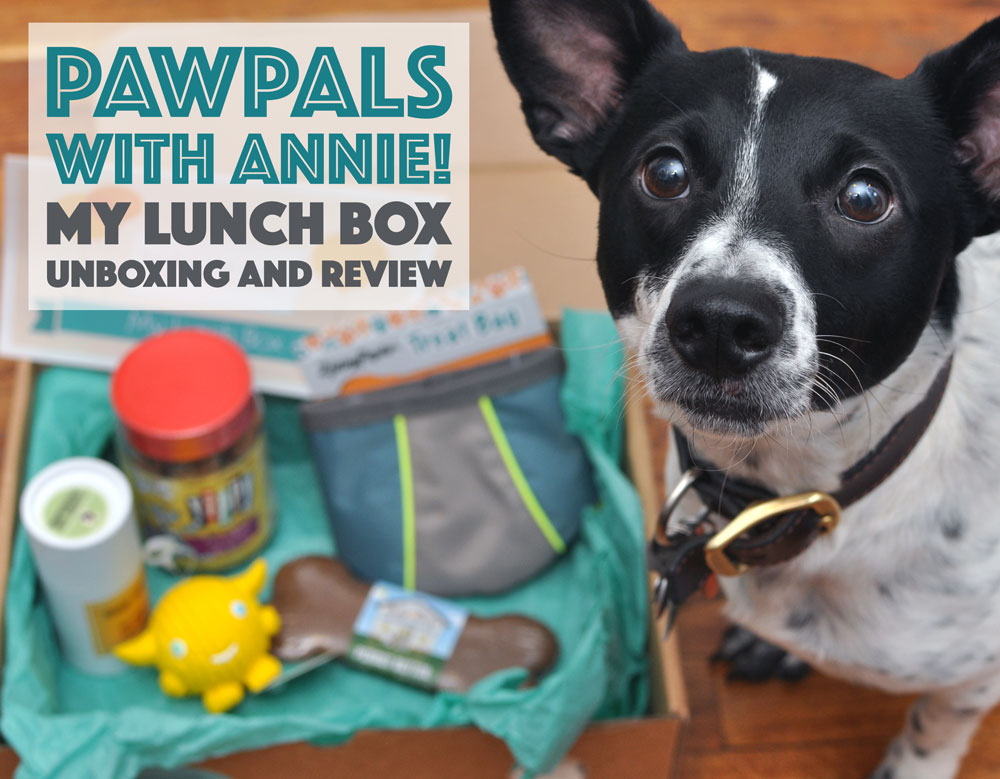 PawPals With Annie!'s May 2016 "My Lunch Box" Box came with lots of goodies! Read to learn more!