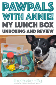 PawPals With Annie!'s May 2016 "My Lunch Box" Box came with lots of goodies! Read to learn more!