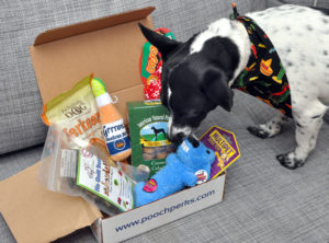 Pooch Perks starts the fiesta with the May 2016 Cinco De Mayo box! Check out our post for the full run-down and exclusive discount!