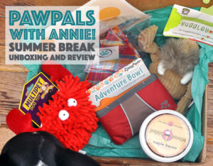School's out for the summer! The new PawPals With Annie! June box seeks to make the next few months' adventures extra fun. Check it out!