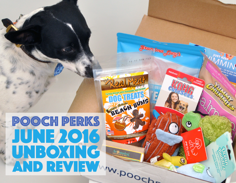 The Pooch Perks June box made quite a SPLASH in our household! This month's theme is a tribute to the new Disney/Pixar movie Finding Dory, a sequel to 2003's Finding Nemo. Inside, Henry and I found a sea of savings on products that are adorable, fun, and delicious!