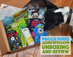 What's that unidentified object flying in the sky? Is it a plane? A rogue dog turd? No it's just this month's Pooch Perks Alien Invasion box! Check out this month's Pooch Perks Unboxing and score an exclusive discount!