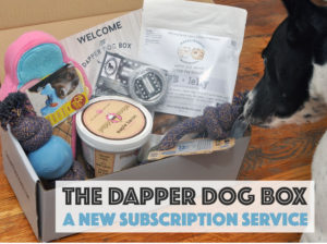 The Dapper Dog Box is a new subscription box service that strives to bring high-quality dog products right to your door! The owner, Kerrie, started the company when she discovered that her own pup needs a special diet. We interview Kerrie and show you what's in this month's box!