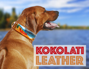 Right after high school, Mary Esposito became physically disabled and legally blind. Unsure what the future held, she started working with Riley, her service dog. To celebrate his graduation, she made him a leather collar — and KoKoLati Leather was born!