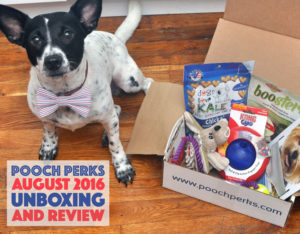 Is your dog a world champion athlete? They will feel like one with this month's Pooch Perks box, which is perfect for your gold medal winner in training!