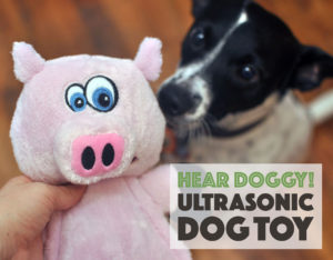 The Hear Doggy!™ is a dog toy with an ultrasonic squeaker that your dog can hear but that you can’t! We gave it a test run, and discovered that it’s a great toy for apartment dwellers or anyone who values a little bit of quiet.