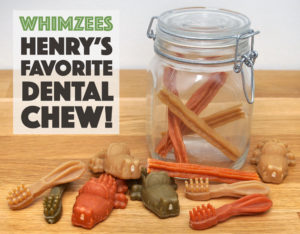 If I were to tell you that one of Henry's favorite snacks is completely vegetarian, would you believe me? It's true! Henry goes absolutely bonkers over Whimzees, dental chews made from natural ingredients that come in all sorts of colors, sizes, and shapes.