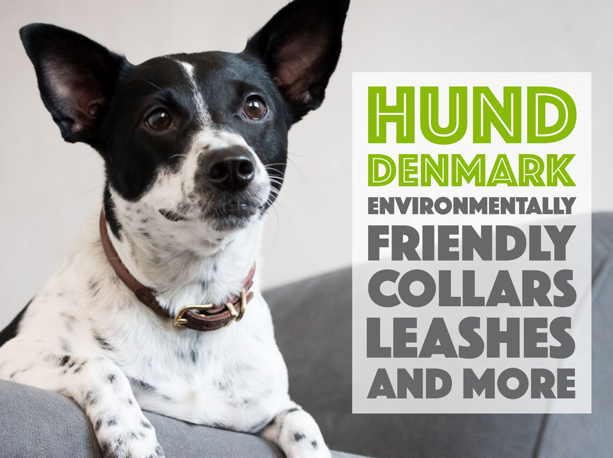 Have you ever wished for a dog collar that is gorgeous AND environmentally-friendly? HUND Denmark's leather collars are the answer to your prayers!