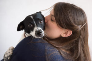 Looking for a pet photographer in the Brooklyn area? Look no further! Petra Romano of Pets by Petra