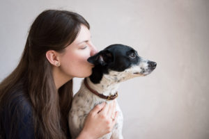 Looking for a pet photographer in the Brooklyn area? Look no further! Petra Romano of Pets by Petra