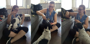 Looking for a pet photographer in the Brooklyn area? Look no further! Petra Romano of Pets by Petra