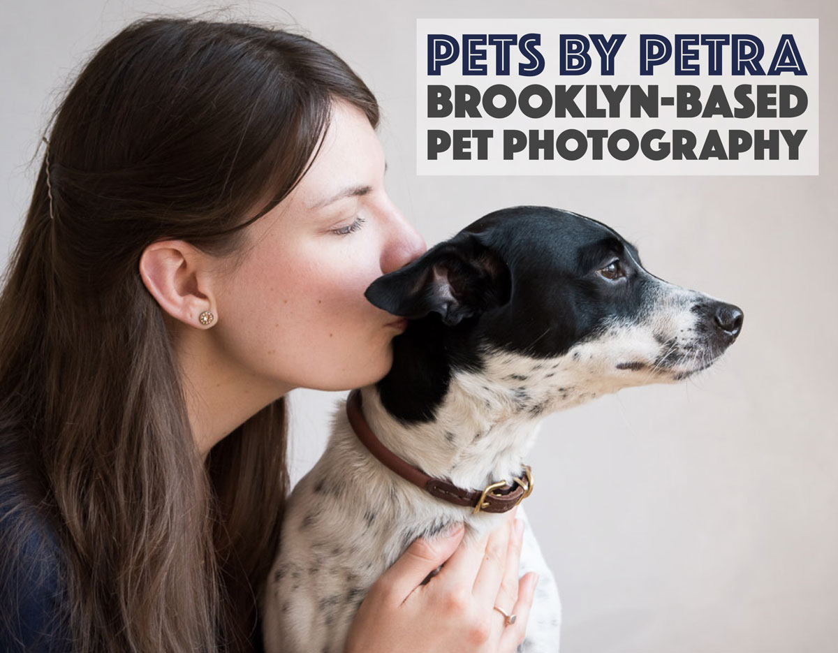 Looking for a pet photographer in the Brooklyn area? Look no further! Petra Romano of Pets by Petra