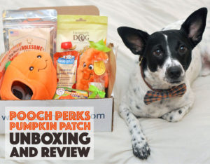 It's pumpkin spice season and now your pup can get in on the fun! Check out our October Pooch Perks Unboxing for a doggone fun fall.