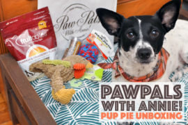 It's back! You may remember our PawPals With Annie! reviews from May and June and are wondering what's in the newest boxes. Keep reading to see what we received in this November's "Pup Pie" shipment and learn how to save 10% on your own subscription!