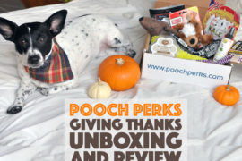 It's November, which means turkey, pumpkin pie, sweet potatoes with marshmallows on top, and giving thanks. It also means another Pooch Perks unboxing!