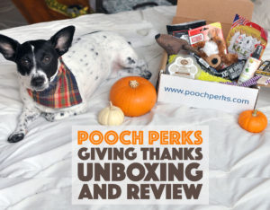 It's November, which means turkey, pumpkin pie, sweet potatoes with marshmallows on top, and giving thanks. It also means another Pooch Perks unboxing!