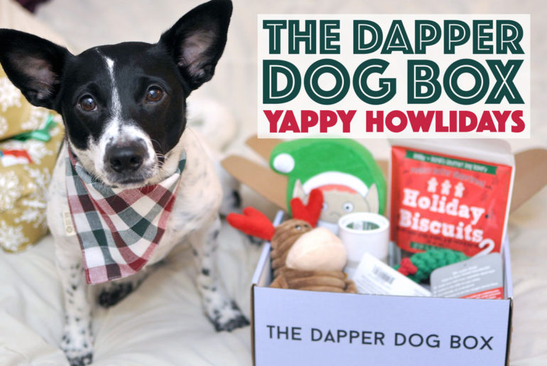 'Tis the season for holiday cheer! You'll find plenty of cheer in The Dapper Dog Box's December "Yappy Howlidays" box, which is stuffed with great goodies!