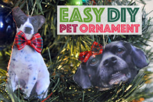 With only a few simple materials, you can make a fully-custom DIY pet ornament that you'll cherish for years to come.