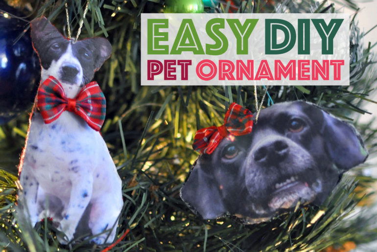 With only a few simple materials, you can make a fully-custom DIY pet ornament that you'll cherish for years to come.