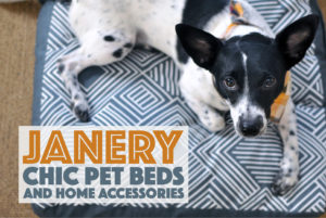 Inspired by a love of interior design and the need for a waterproof dog bed, Jane Pearson launched Janery and started selling chic, practical pet beds. Janery beds are durable, stylish, and made in the USA.
