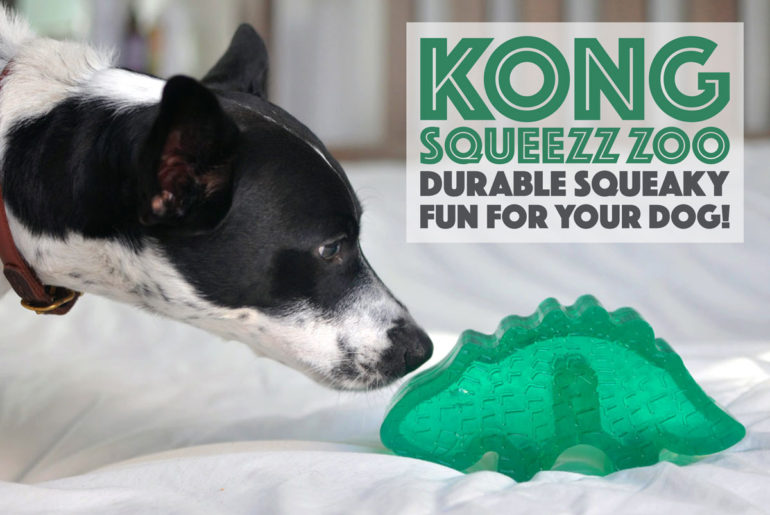 The new Kong Squeezz Zoo line is an adorable and colorful addition to Kong's line of incredible toys!