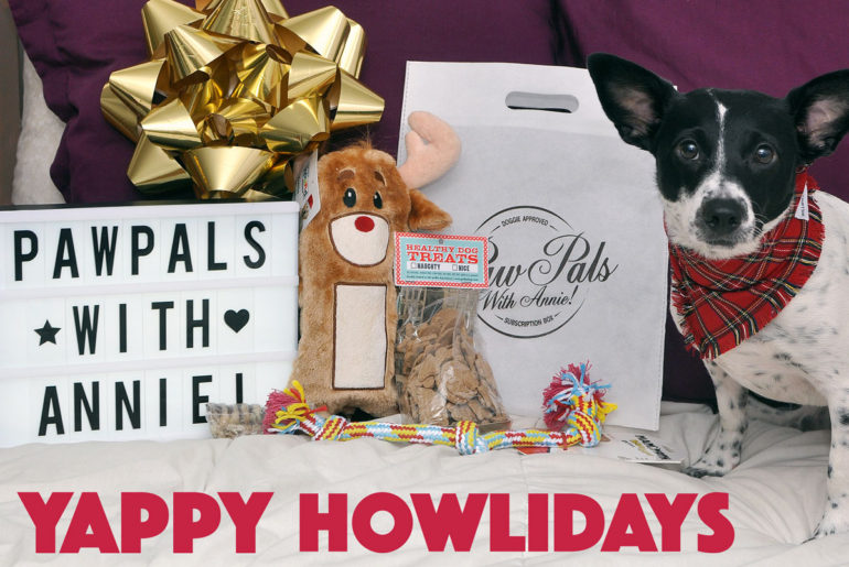 Are you feeling jolly this holiday season? You will be after opening PawPals With Annie!'s Yappy Howlidays shipment! Each month's eco-friendly bag is filled with about five quality themed goodies for your pup, and December's bag is no exception.