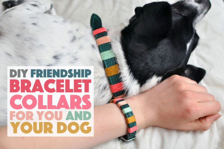You may have seen some really amazing "friendship bracelets" for you and your dog from companies like Friendship Collar or Bearytail Leather Company, but are itching for something a little more personal. With just some simple materials and a few minutes, you can make your very own DIY friendship bracelet collars!