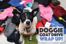 This past November, we launched the 2016 Doggie Coat Drive to benefit a couple of our favorite rescues. We were overwhelmed with the incredible response from both brands and individuals. We ended up donating over 200 coats, plus toys, treats, and food. Keep reading for details!