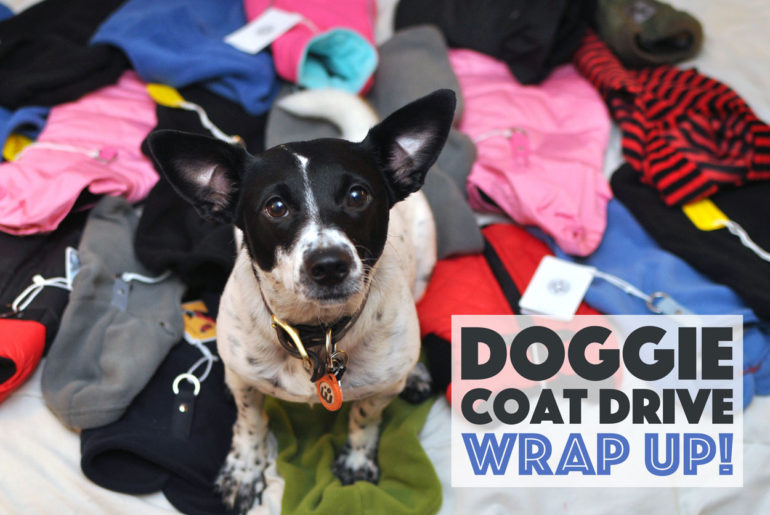 This past November, we launched the 2016 Doggie Coat Drive to benefit a couple of our favorite rescues. We were overwhelmed with the incredible response from both brands and individuals. We ended up donating over 200 coats, plus toys, treats, and food. Keep reading for details!
