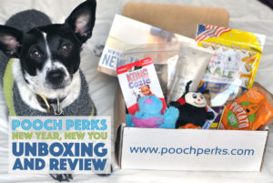 Pooch Perks' "New Year, New You" box is packed with healthy treats, toys that promote fun and exercise, and shampoo to help your pup look awesome!