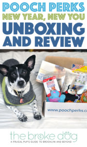Pooch Perks' "New Year, New You" box is packed with healthy treats, toys that promote fun and exercise, and shampoo to help your pup look awesome!
