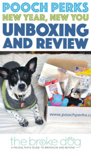 Pooch Perks' "New Year, New You" box is packed with healthy treats, toys that promote fun and exercise, and shampoo to help your pup look awesome!