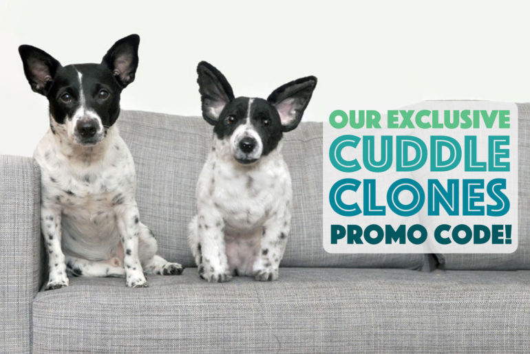 Want a custom plush stuffed animal that looks exactly like your dog? Cuddle Clones makes one-of-a-kind keepsakes that will make you do double-takes! Plus, we've teamed up with this great company to bring you an exclusive Cuddle Clones promo code!