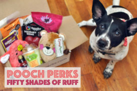 Valentine's Day may have passed, but you can still show your pups some love with the Pooch Perks Fifty Shades of Ruff box! It's stuffed with goodies that will keep them feeling loved year-round. Plus, save 10% with our Pooch Perks discount code BROKEDOGBLOG!