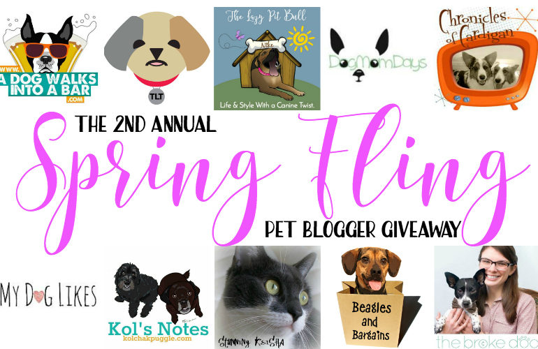Enter to win a $250 Amazon Gift Card and more in the Pet Blogger Spring Fling Giveaway!