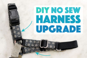 Looking for an easy and inexpensive way to spice up your pup's look? Try this simple DIY no sew dog harness upgrade for a new look any day!