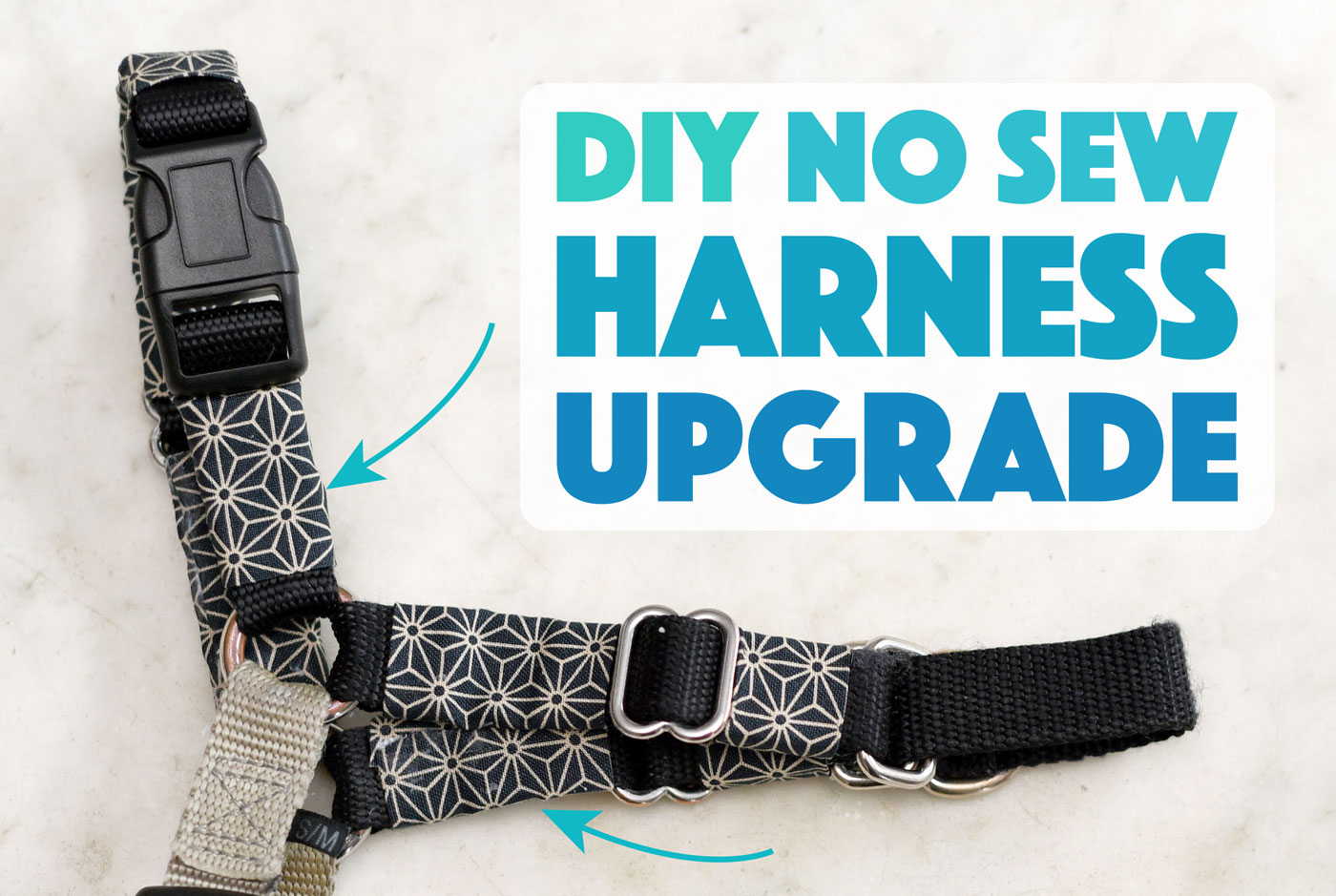 DIY No Sew Dog Harness Upgrade! - The Broke Dog