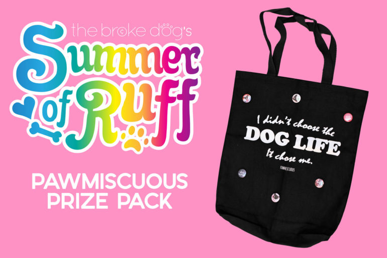 As part of our Summer of Ruff giveaway series, we're giving away a Pawmiscuous Prize Pack this week! The prize pack includes a tote provided by Pawmiscuous as well as a pack of six buttons provided by The Broke Dog.