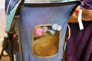 Thinking about attending BlogPaws? This year's conference was my second time at the rodeo, and I've learned a few things along the way. Whether you're a newbie or seasoned veteran, check out my 11 Top Tips for BlogPaws Attendees!