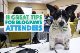 Thinking about attending BlogPaws? This year's conference was my second time at the rodeo, and I've learned a few things along the way. Whether you're a newbie or seasoned veteran, check out my 11 Top Tips for BlogPaws Attendees!