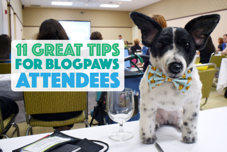 Thinking about attending BlogPaws? This year's conference was my second time at the rodeo, and I've learned a few things along the way. Whether you're a newbie or seasoned veteran, check out my 11 Top Tips for BlogPaws Attendees!