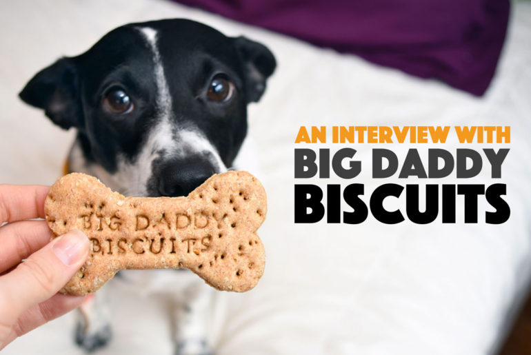 Big Daddy Biscuits makes delicious, healthy dog treats in Atlanta, Georgia — but don't take it from me, take it from Big Daddy, the namesake behind the company! We interview this cutie about his treats, the process, and his Big Mama. Check it out!