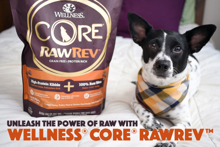 Have you heard the buzz about raw feeding for dogs but aren’t sure where to start? Wish you could give it a try without the mess, fuss, or confusion? Wellness® CORE® RawRev™ is here to he