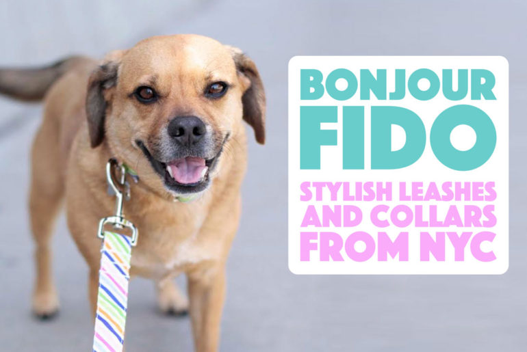 Today we're interviewing Rachael Moin from bonjour fido! I've been a vendor alongside Rachael at several New York City dog events, and I'm absolutely in love with her products and her puggle, Napoleon. Keep reading to learn more about this New York City brand!