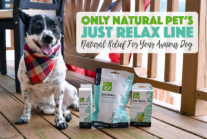 If you know Henry, you know that he's an anxious pup. Subway rides, loud noises, and other dogs can send him into a barky, reactive anxiety tizzy. We've loved Only Natural Pet products for a long time, so I knew I had to test their "Just Relax" line: three natural calming aids for dogs. We put the Just Relax Calming Soft Chews, Just Relax Calming Spray, and Just Relax Calming Medallion to work for perhaps the toughest of all: fireworks on the lake!