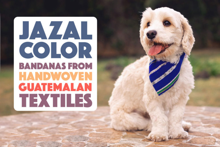 Looking for a stylish gift for a dog-loving friends? Jazal Color makes stunning dog bandanas from handwoven Guatemalan textiles. Learn more about this great company and their incredible products!